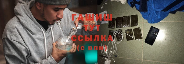 индика Горно-Алтайск