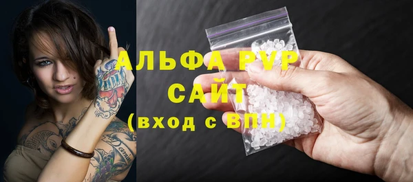прущие грибы Горнозаводск
