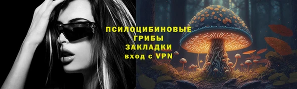 2c-b Горняк