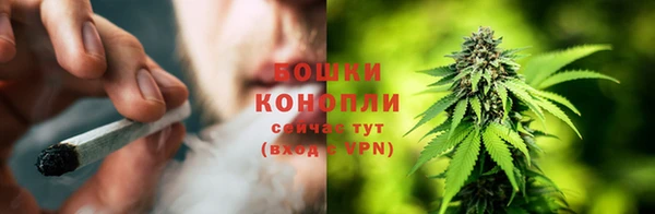 дживик Волосово