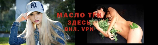 2c-b Горняк