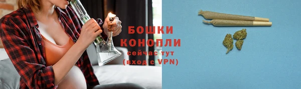 2c-b Горняк