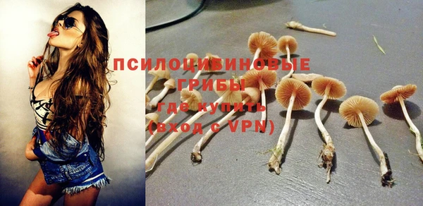 индика Горно-Алтайск