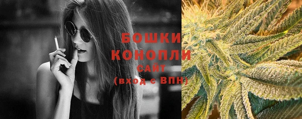 прущие грибы Горнозаводск