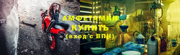 прущие грибы Горнозаводск