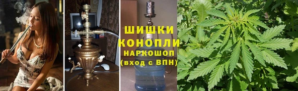 индика Горно-Алтайск